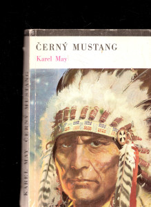 Černý mustang