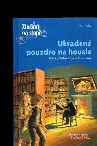Ukradené pouzdro na housle 