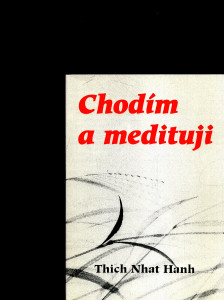 Chodím a medituji