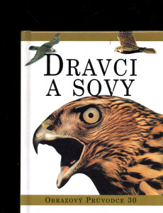 Dravci a sovy