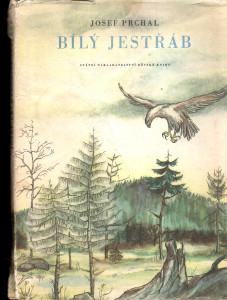 Bílý jestřáb 