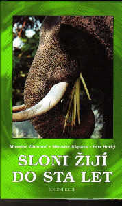 Sloni žijí do sta let