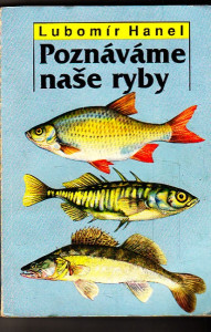 Poznáváme naše ryby