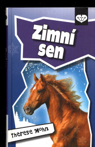 Zimní sen