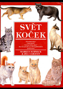 Svět koček