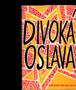 Divoká oslava