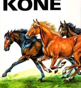 Koně