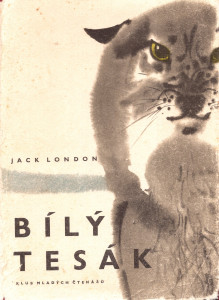 Bílý Tesák