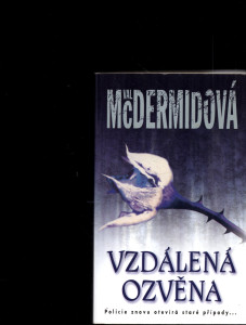 Vzdálená ozvěna