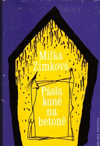Pásla koně na betoně