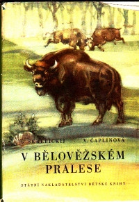 V Bělověžském pralese