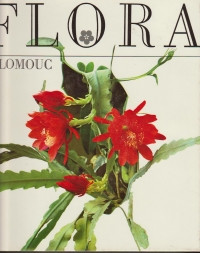 Flora Olomouc
